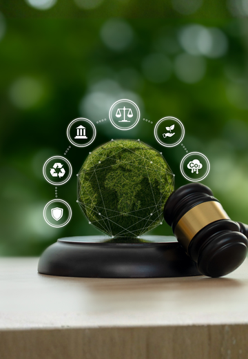 UAE's Carbon Credit Registry: Steering Toward a Net-Zero Future