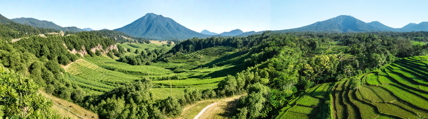 The UAE–Oman Green Corridor: Legal and Compliance Considerations for Cross-Border Trade