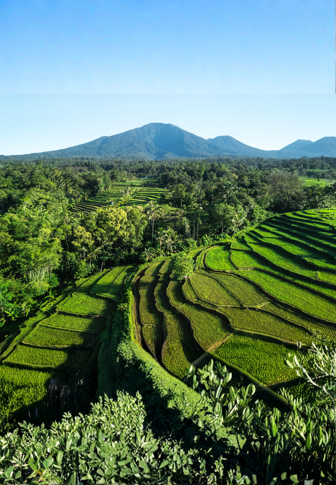 The UAE–Oman Green Corridor: Legal and Compliance Considerations for Cross-Border Trade